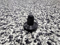 Viper M6 Plastic Wingnut