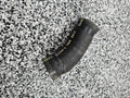 Gen 1 Thermostat Outlet Hose